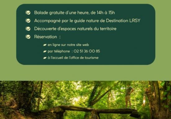 Sortie nature – Les petits coins de paradis yonnais