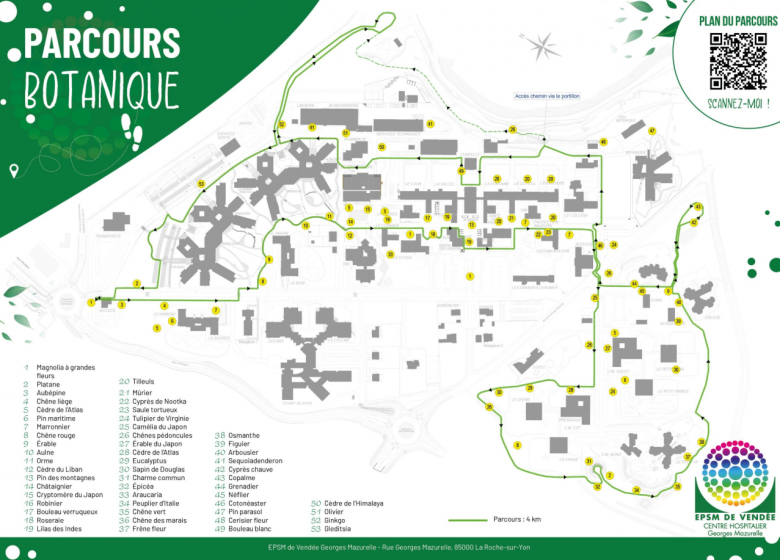 Jardin insolite du centre hospitalier Georges Mazurelle