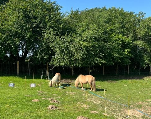 Soin aux animaux et visite de la La Ferme pédagogique de la Jarrie
