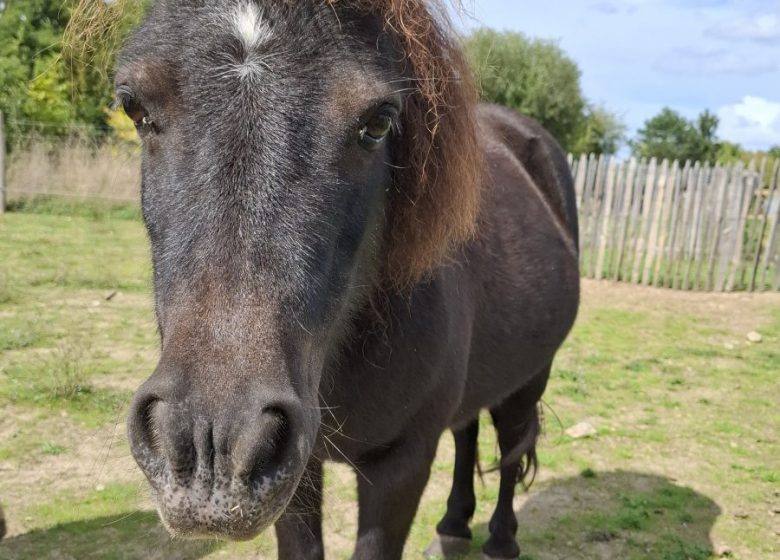 Camping l&rsquo;Ambois
