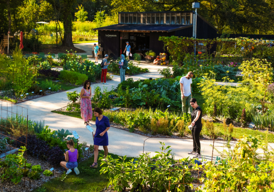 Le Potager Extraordinaire