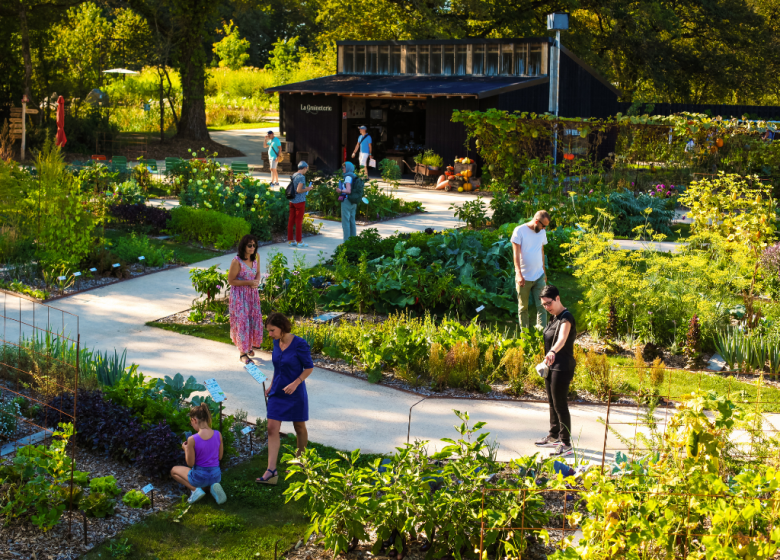 LE POTAGER EXTRAORDINAIRE