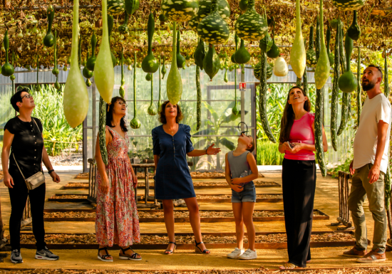 Le Potager Extraordinaire