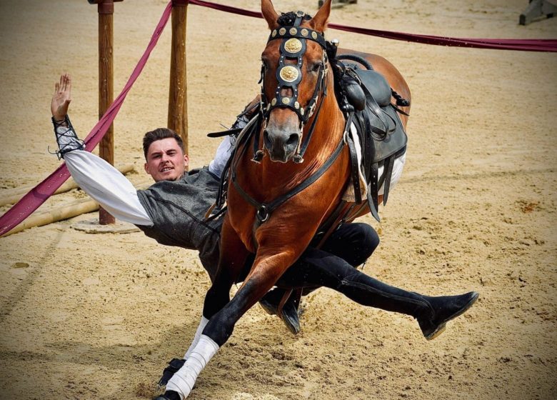 Spectacle équestre Vendée Cheval 2025 – 9 juin 2025