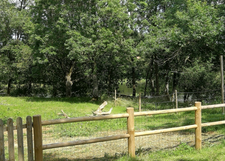 « La Case à Poules » – Les Crins au bord du lac