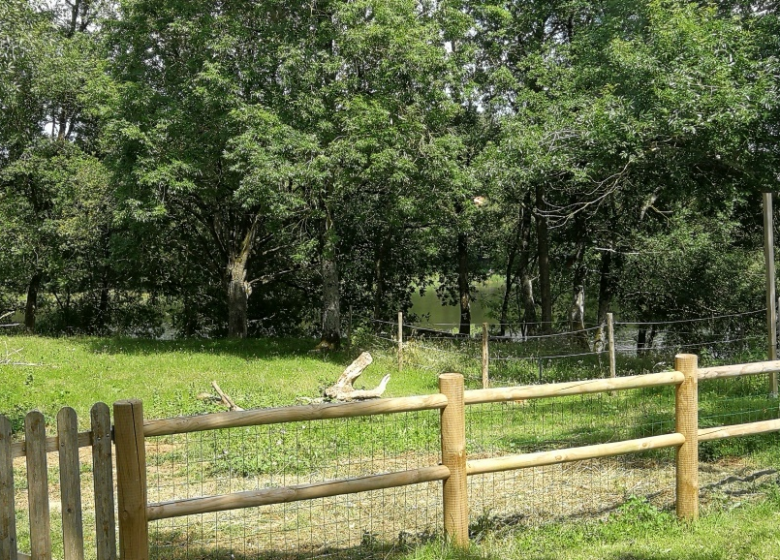 « LA CASE À POULES » – LES CRINS AU BORD DU LAC