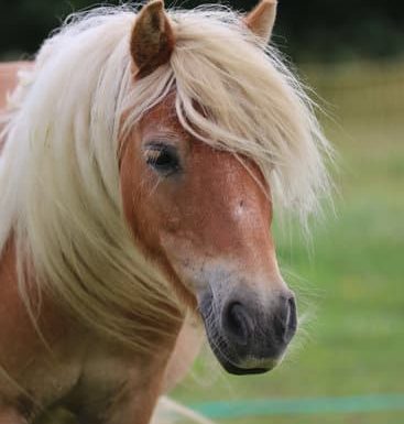 LA FERME PÉDAGOGIQUE DE LA JARRIE