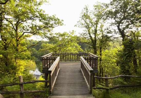 Belvédère de la vallée de l’Yon