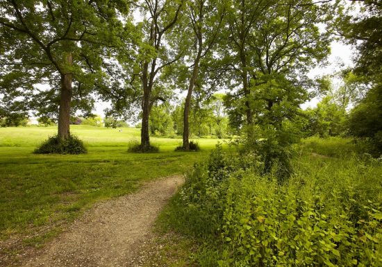 Vallée de l’Ornay