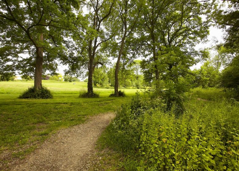 Vallée de l’Ornay