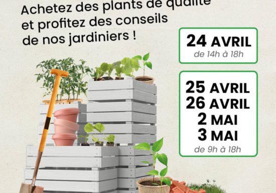 VENTE DE PLANTS