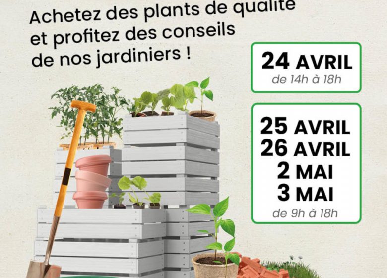 VENTE DE PLANTS