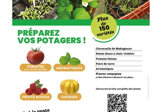 VENTE DE PLANTS