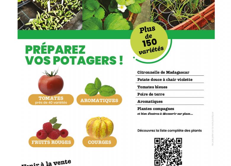 VENTE DE PLANTS