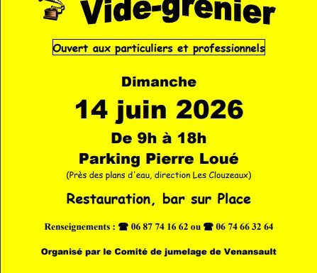 vide grenier
